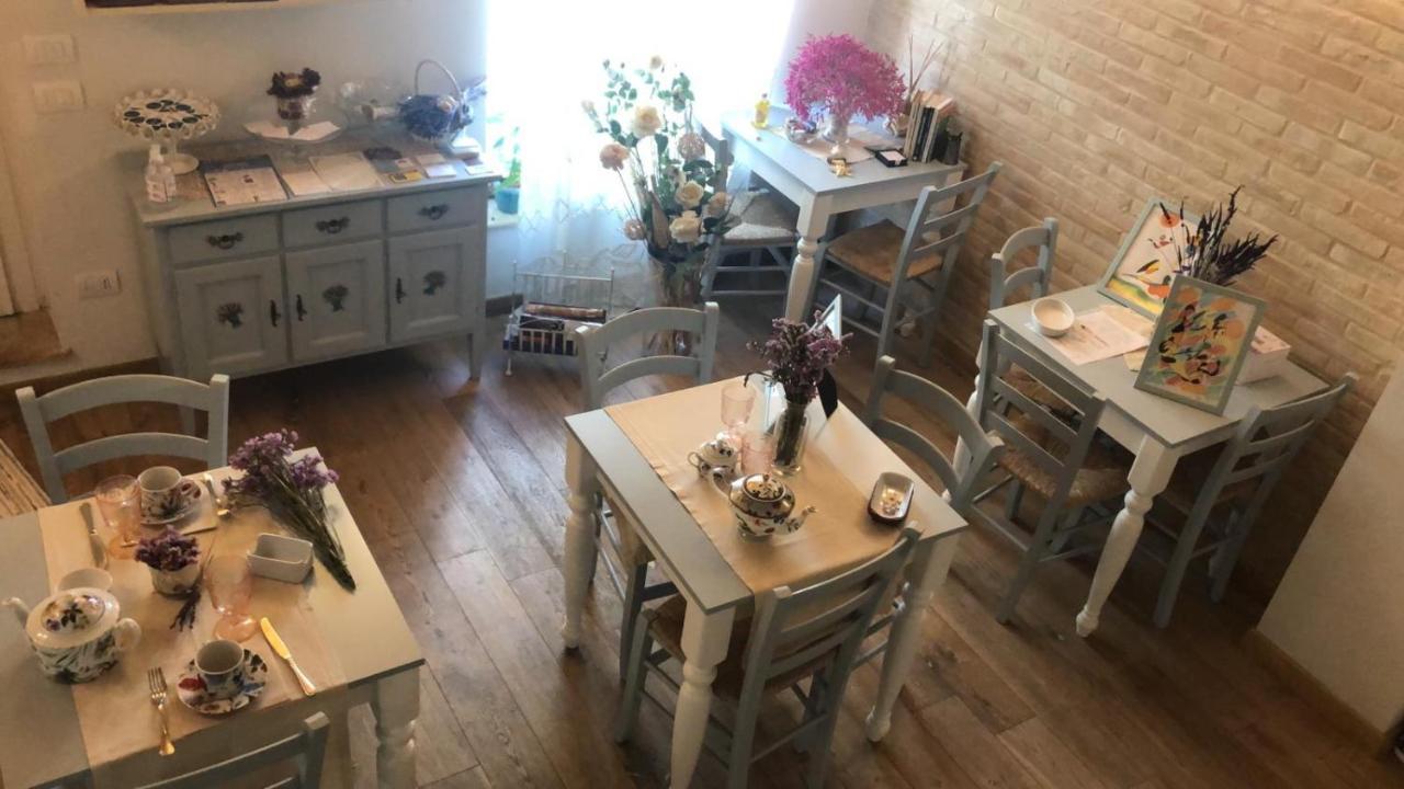 B&B Domar Civitanova Marche Exteriör bild